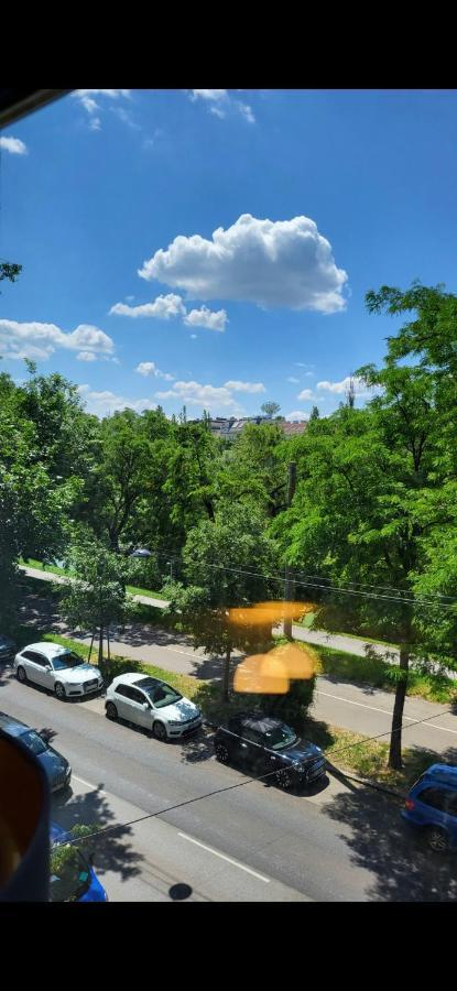 Schoene Altbauwohnung Wien Zentrum Brigittenauer Laende 32 Dış mekan fotoğraf