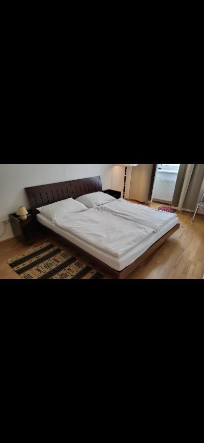 Schoene Altbauwohnung Wien Zentrum Brigittenauer Laende 32 Dış mekan fotoğraf