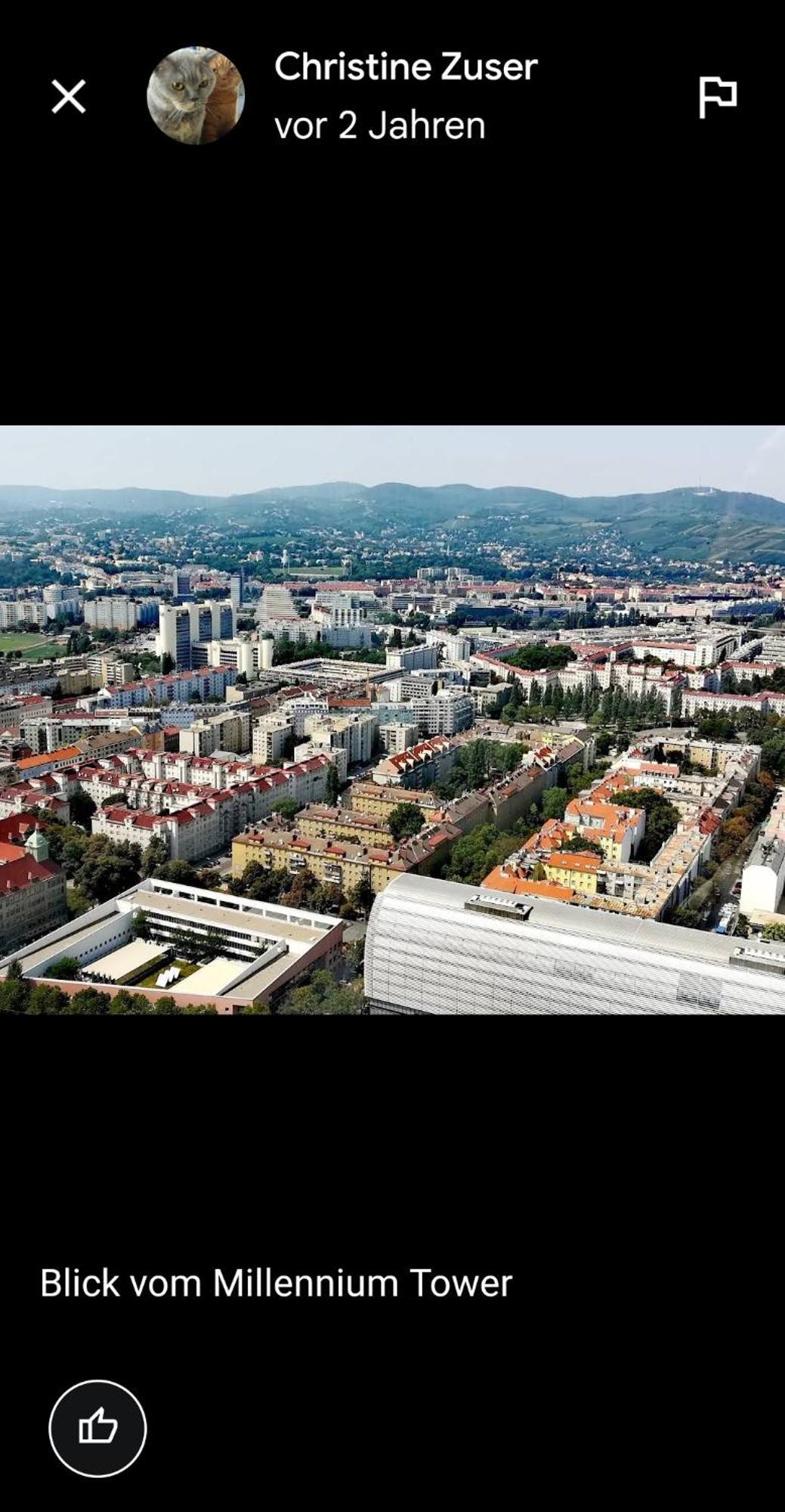 Schoene Altbauwohnung Wien Zentrum Brigittenauer Laende 32 Dış mekan fotoğraf